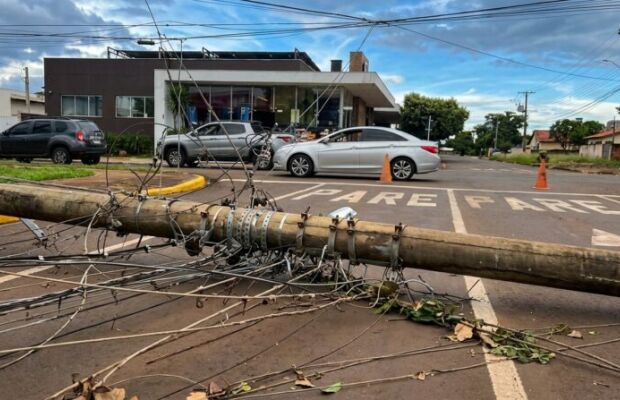 Ventos fortes de até 100 km/h derrubam árvores e postes em Dourados