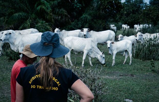 Plano estadual reforça combate ao trabalho escravo em Mato Grosso do Sul