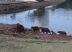 O Parque das Nações Indígenas é um dos cartões postais de Campo Grande. (Foto: Geliel Oliveira/A Crítica)