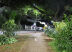 Centro de Campo Grande - Fotos: Geliel Oliveira