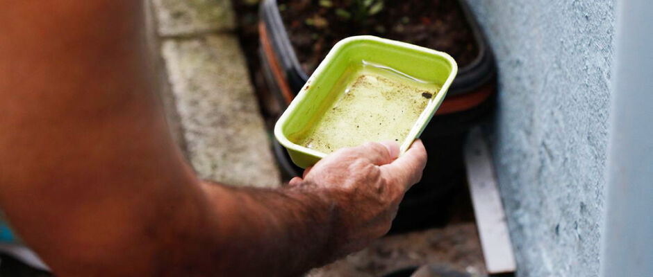 Casos de dengue caem 27% em MS, mas autoridades reforçam alerta com chegada do verão