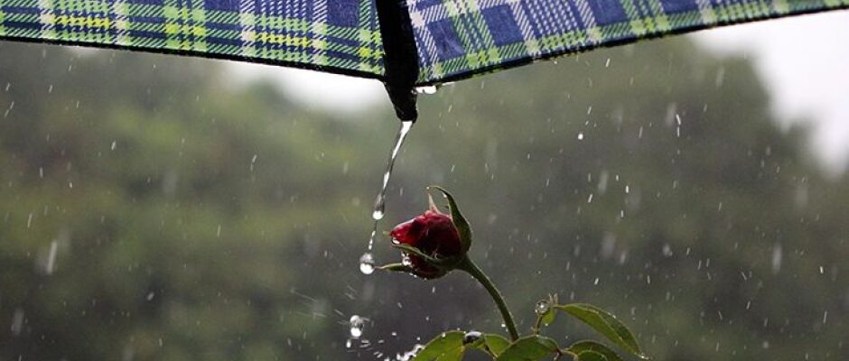 Chuvas avançam pelo Mato Grosso do Sul com ventos fortes e calor persistente