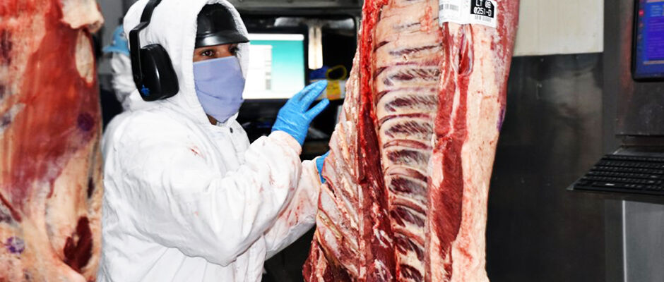 Brasil perde US$ 700 mi de agosto a outubro com exportações de carne, mas vendas gerais sobem