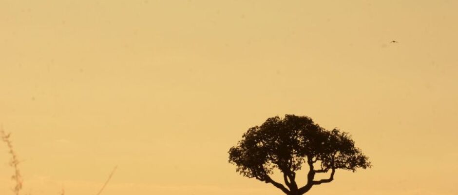 Calor e pancadas de chuva marcam a segunda-feira em Mato Grosso do Sul