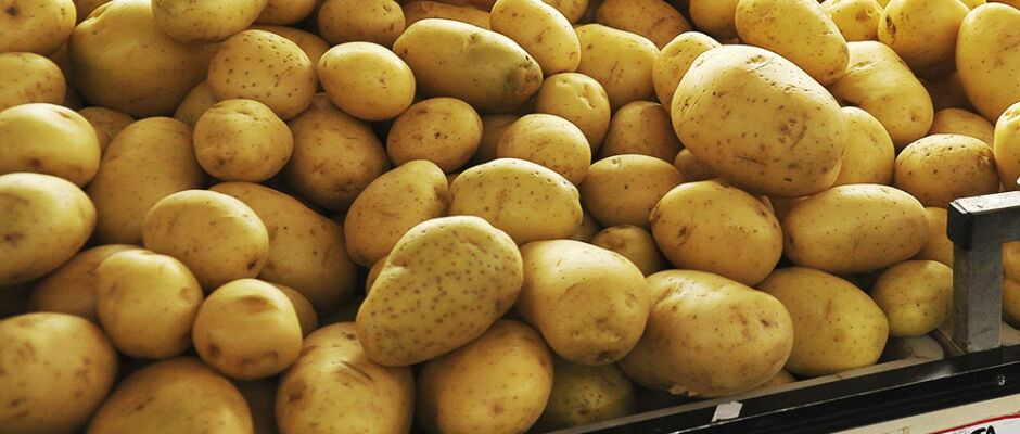 Preço da batata varia quase 270% em Campo Grande, aponta pesquisa do Procon/MS