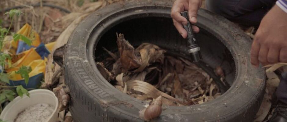 Dengue e Chikungunya já causaram 34 mortes em MS só em 2025