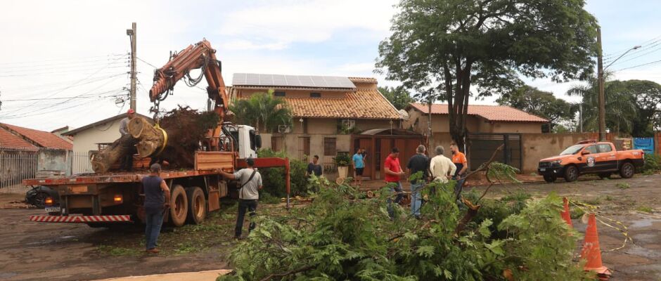 Após temporal, prefeitura de Campo Grande mantém equipes nas ruas e cidade segue em alerta
