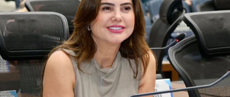 Festa do Mel entra para o Calendário Oficial de Eventos de MS