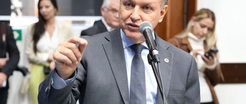 Associação Mundo Vira Lata é reconhecida como de utilidade pública em Mato Grosso do Sul