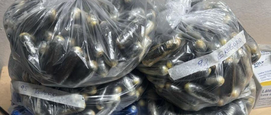 Cinco bolivianos são presos com cápsulas de cocaína ingeridas na fronteira com MS