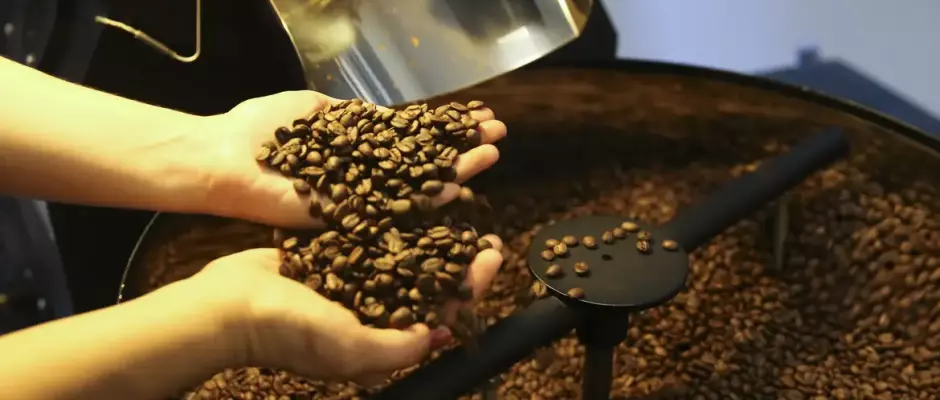 Trump isenta café, carne e frutas tropicais do tarifaço sobre importações