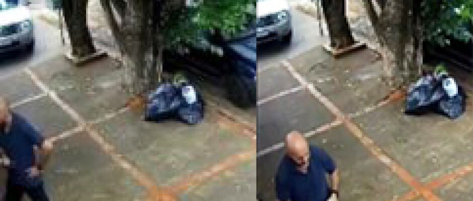 Homem se passa por delegado e ameaça matar cachorro: 