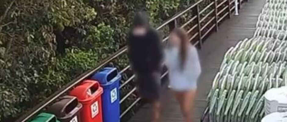 Vídeo flagra retorno de adolescente ao condomínio no dia da morte do cão Orelha