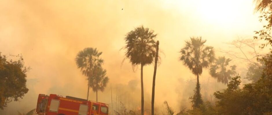 El Niño eleva risco de fogo no Pantanal e MS reforça combate com bases e tecnologia