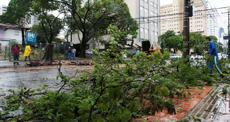 Estragos causados por vendaval fazem Energisa registrar maior número de solicitações em oito anos - A Crítica de Campo Grande Mobile