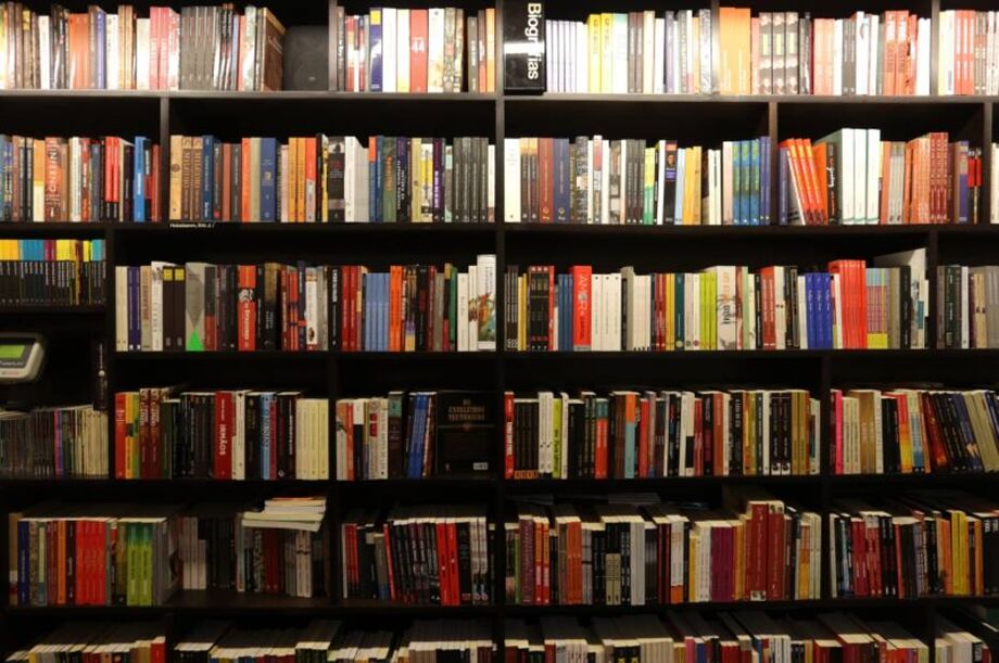 Entidades brasileiras participam de projeto da ONU para dar acesso a livros infantis e juvenis