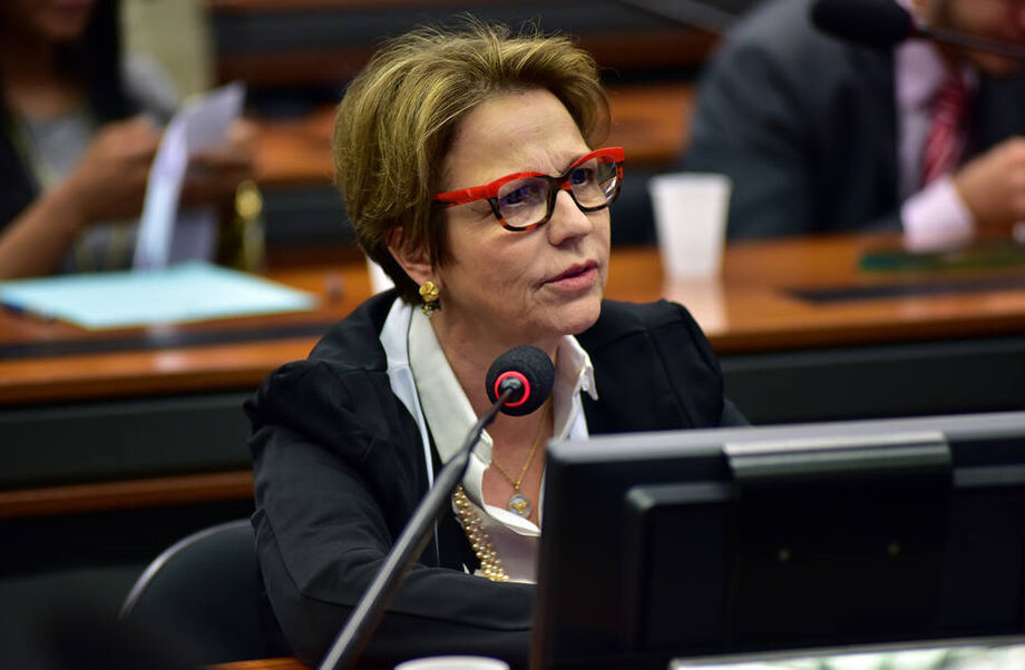 Ministro da Agricultura, Tereza Cristina