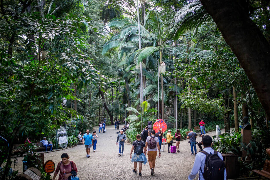 Visitantes caminham sob a vegetação do Parque Trianon, em São Paulo