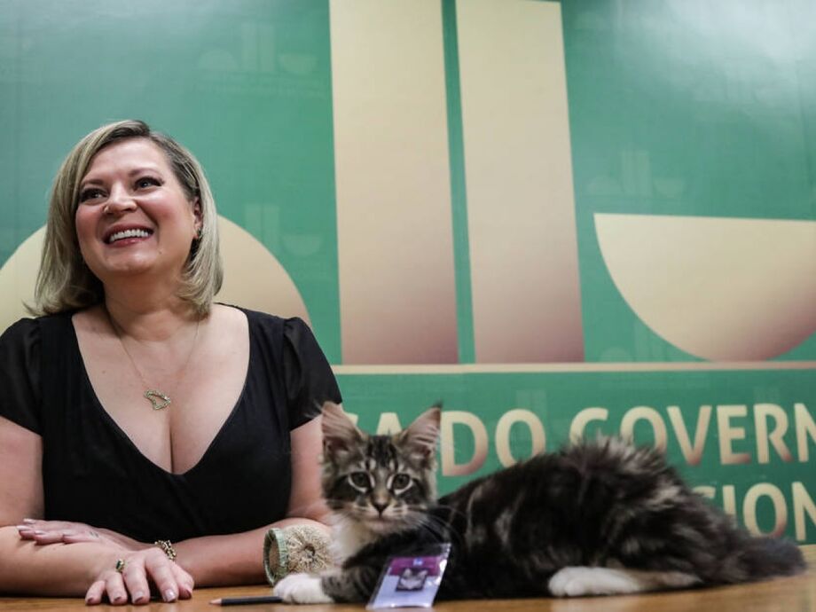 Joice Hasselmann