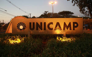 MPF quer destinar à Unicamp R$ 1,2 mi vindos de acordos da Operação Sangue Impuro