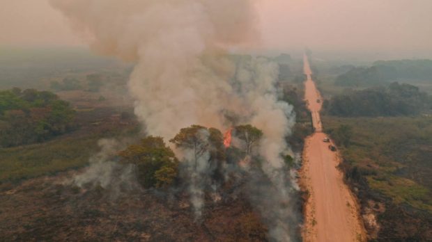 Pantanal enfrenta a maior série de queimadas das últimas duas décadas, segundo dados do Instituto Nacional de Pesquisas Espaciais (Inpe)