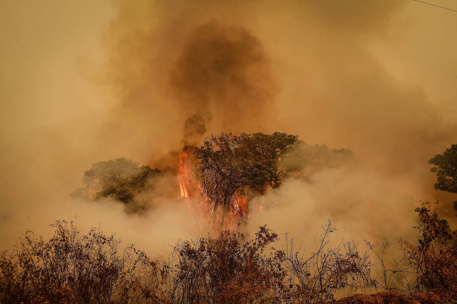 No Pantanal, a recuperação varia de acordo com as características de cada macrohabitat.