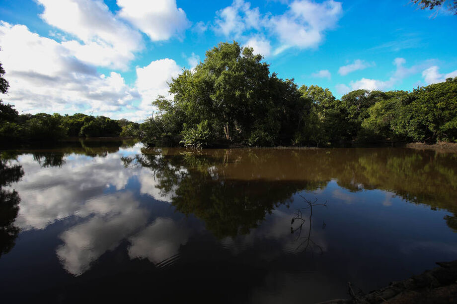 Ministério do Meio Ambiente pode derrubar resoluções que delimitam áreas de proteção permanente (APPs) de manguezais e de restingas