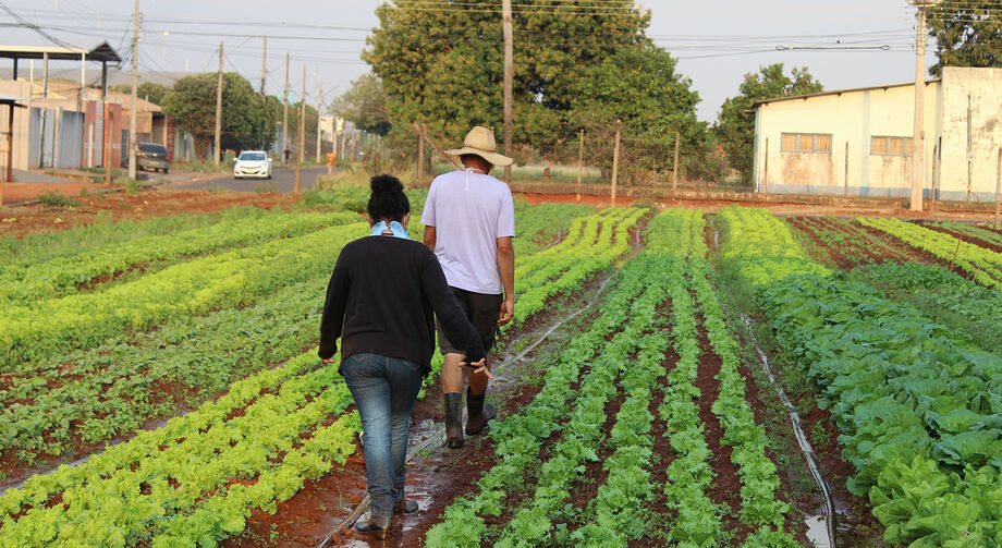 Nos bairros de Campo Grande agricultores ainda se mantêm firmes diante a pandemia