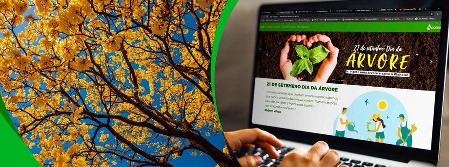 A ação do Dia da Árvore (21 de setembro) promovida pela Sanesul nas cidades onde opera os sistemas de abastecimento de água e esgotamento sanitário foi muito bem recebida pela população