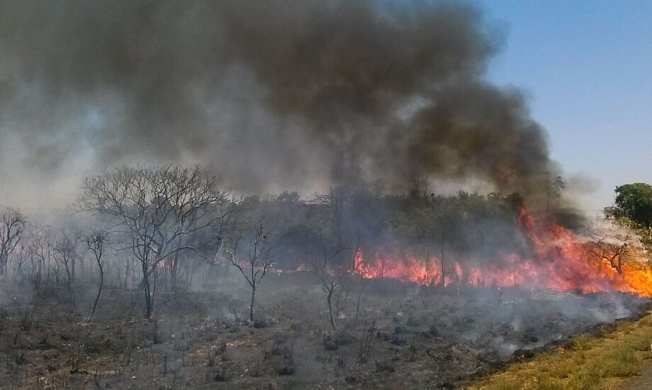 Ao todo, 75 pessoas estão participando da ação de combate ao fogo, que conta com o apoio de um helicóptero do Corpo de Bombeiros