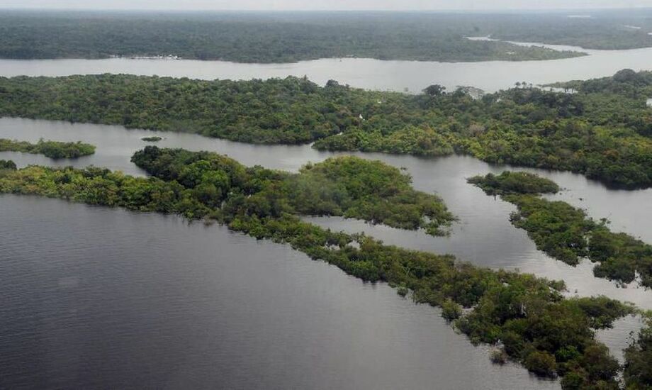 Segundo os dados da FAS, os prejuízos atingem várias áreas, como o baixo Rio Negro