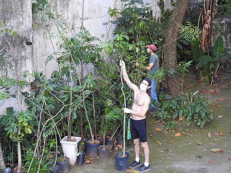 Grupo fazendo reflorestamento urbano