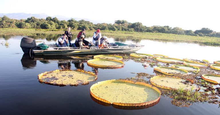 A campanha quer aproximar o turista e a natureza