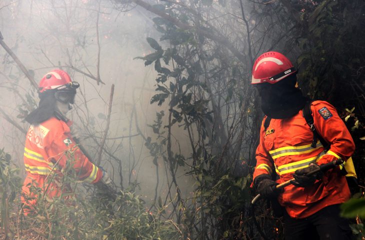 Bombeiros combatem o incêndio