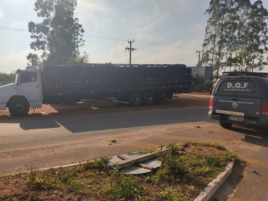 A propriedade rural que constava na nota falsa como destino dos animais foi bloqueada do sistema de trânsito da Iagro e vai passar por fiscalização da unidade volante