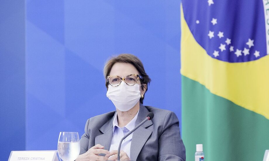 A ministra da Agricultura, Tereza Cristina