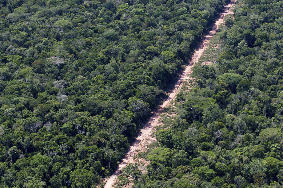 Projeto pioneiro vai pagar para produtores rurais da Amazônia não desmatarem