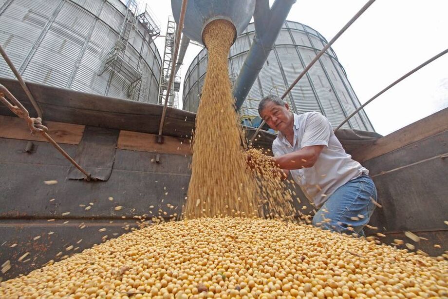A segunda safra de milho em 2020 será de 73,9 milhões de toneladas, queda de 0,9% ante 2019