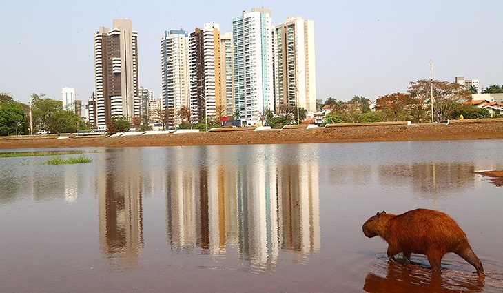 O Parque das Nações Indígenas, cartão-postal de Campo Grande, será reaberto ao público nesta quinta-feira (8) pelo Governo do Estado, das 6h às 21h