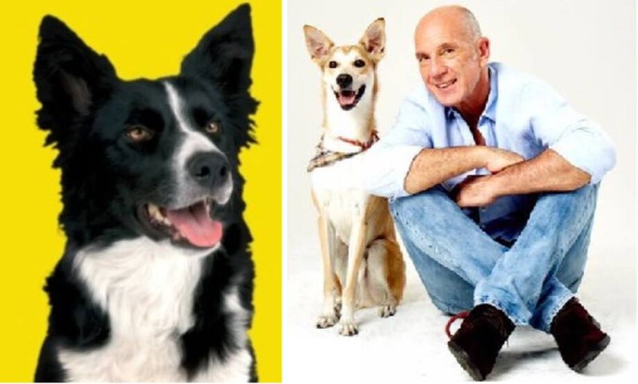 Um é um border collie preto e branco, cujo tutor é um campeão de votos e o outro é um vira-latas bege de lencinho no pescoço, que tem como dono um vereador que tenta a primeira reeleição
