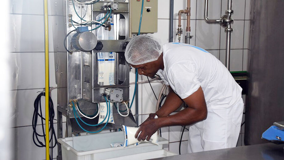 Os números vêm apresentando queda desde 2013 e tem influenciado a produção de leite