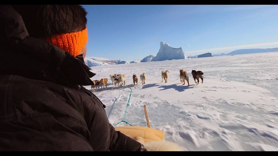 Cena do documentário 'The Last Ice', de Scott Ressler
