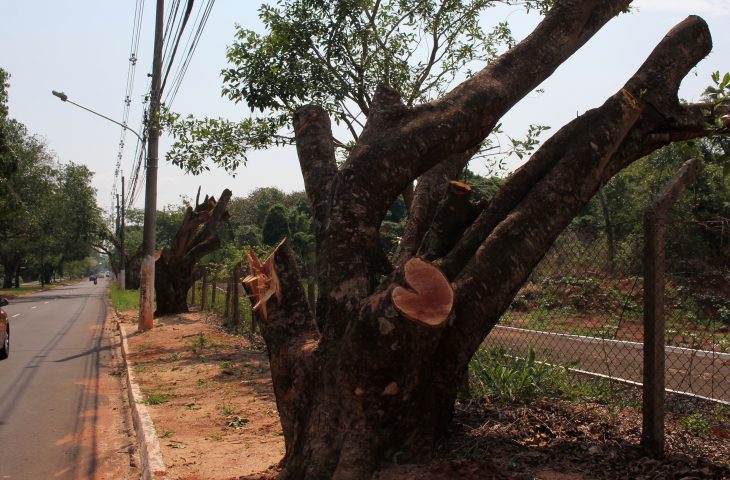 Parque dos Poderes