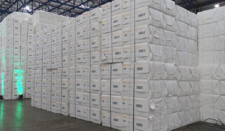 Atualmente, dois novos projetos de produção de celulose já foram licenciados e autorizados em Mato Grosso do Sul.
