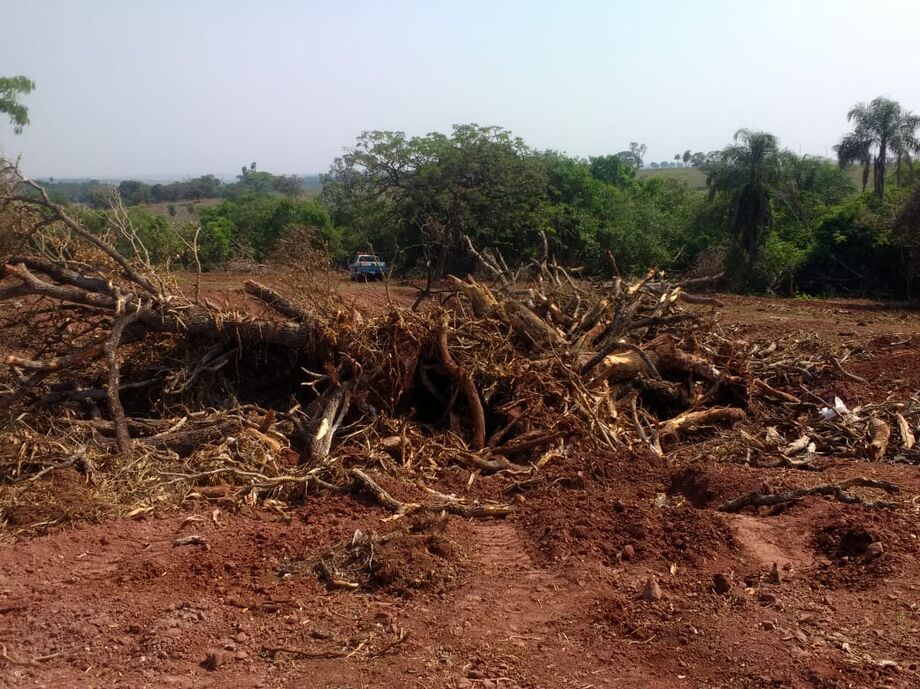 Durante fiscalização feita hoje (12) em Tacuru, agentes da Polícia Militar Ambiental encontraram um desmatamento de sem autorização ambiental e multou o responsáve