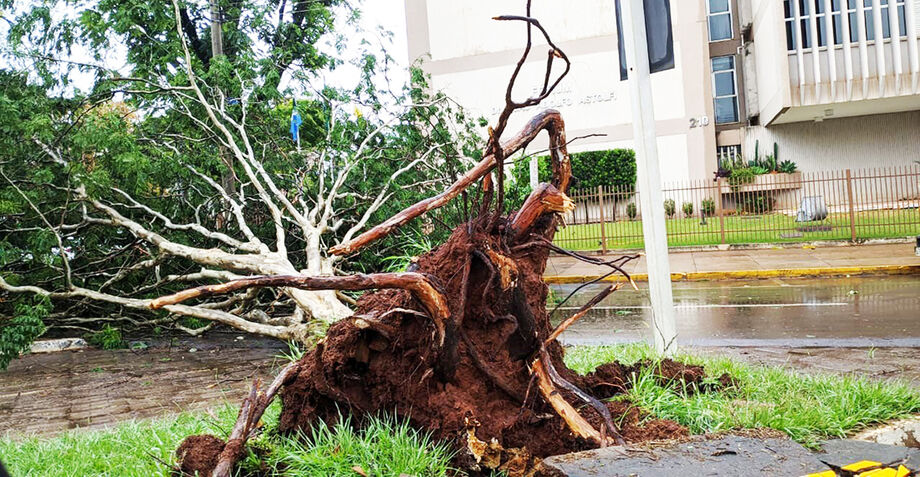 A chuva causou mais destruição em Dourados