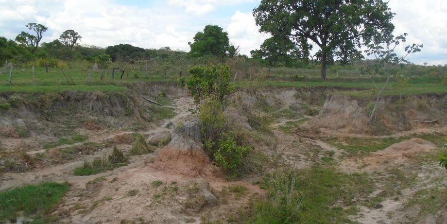 O local foi interditado pela polícia militar ambiental