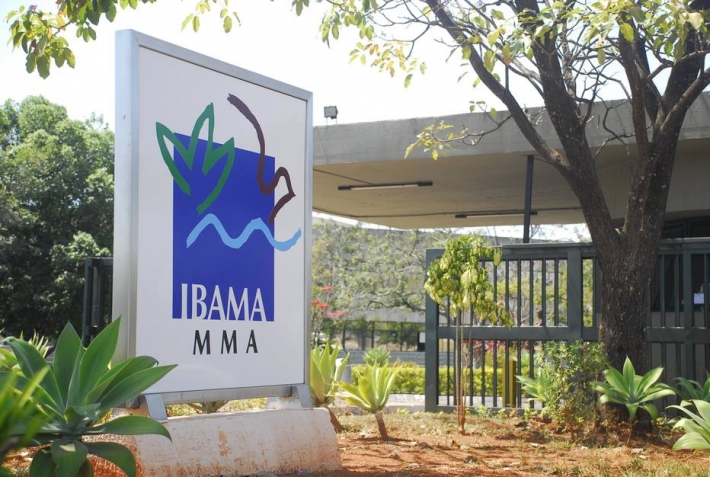 Ibama encara uma queda de braços com o Ministério da Economia e alega que a pasta tem segurado a execução financeira do orçamento do instituto.