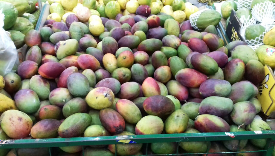Manga é uma das frutas da estação