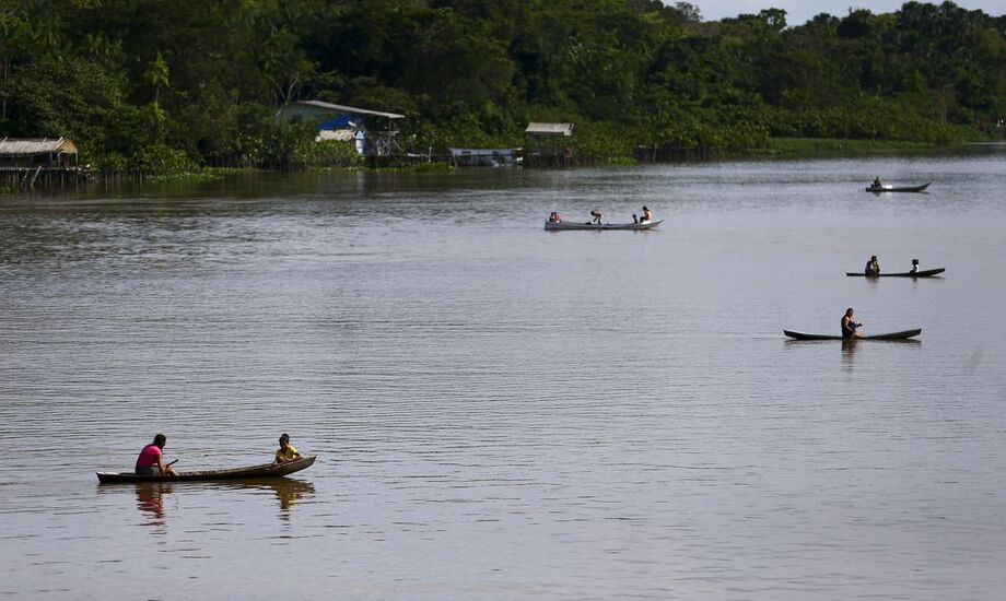 Um grupo de pesquisadores de seis países, incluindo dois professores da Universidade Federal de Minas Gerais (UFMG), realizaram um estudo sobre conservação de biodiversidade nos ecossistemas de água doce